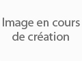 Détails : Annuaire Cyber-Annu